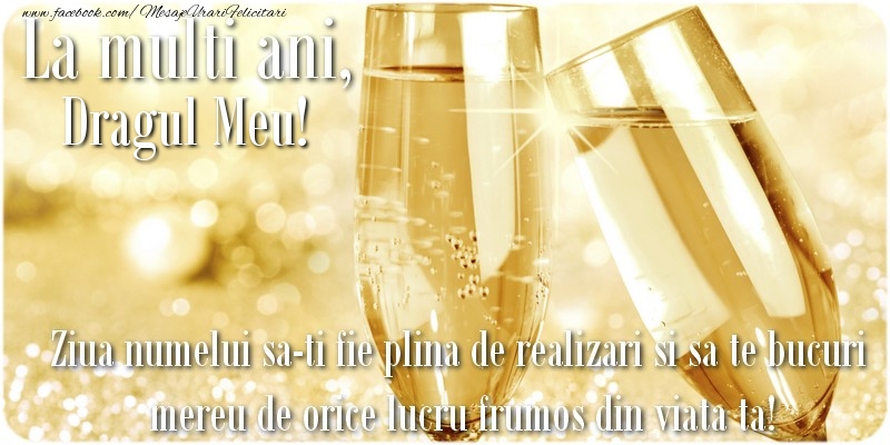 Felicitari de Ziua Numelui pentru Iubit - La multi ani, dragul meu! Ziua numelui sa-ti fie plina de realizari si sa te bucuri mereu de orice lucru frumos din viata ta!