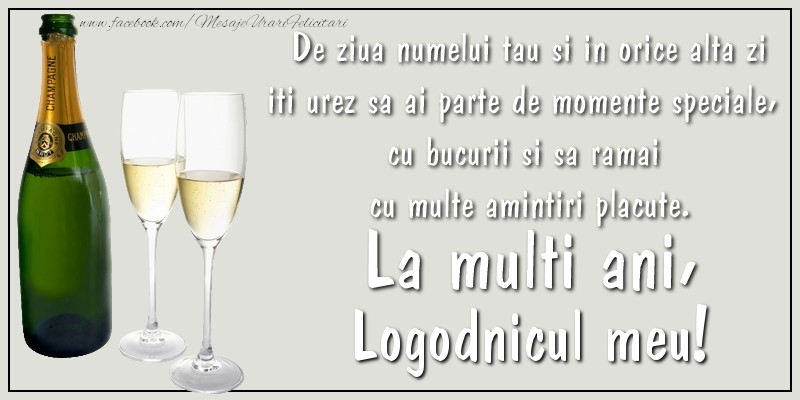 Felicitari de Ziua Numelui pentru Logodnic - De ziua numelui tau si in orice alta zi iti urez sa ai parte de momente speciale, cu bucurii si sa ramai  cu multe amintiri placute. La multi ani, logodnicul meu
