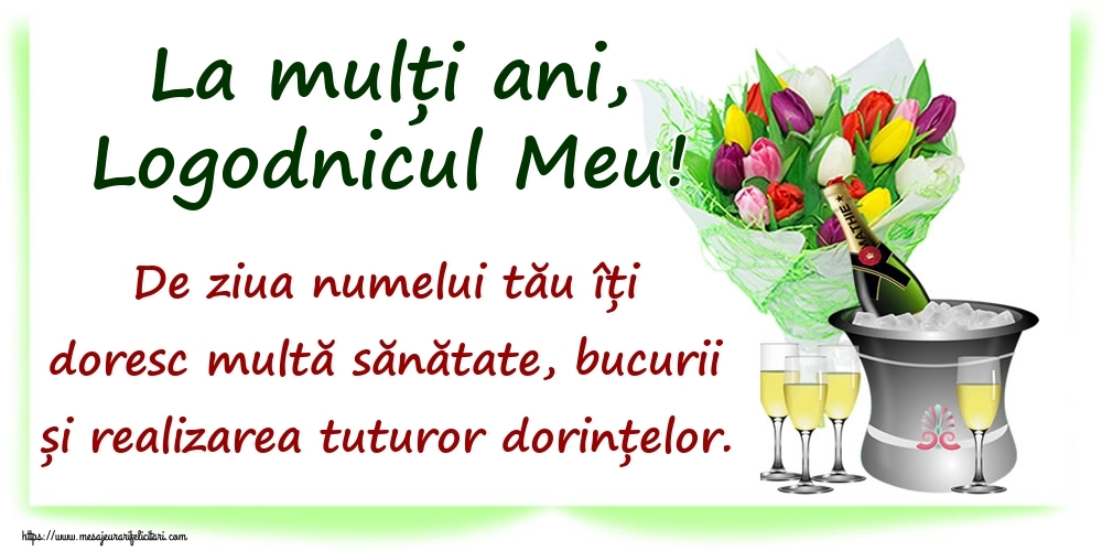 Felicitari de Ziua Numelui pentru Logodnic - La mulți ani, logodnicul meu! De ziua numelui tău îți doresc multă sănătate, bucurii și realizarea tuturor dorințelor.