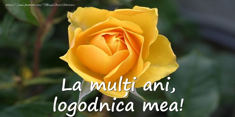 Felicitari de Ziua Numelui pentru Logodnica - La mulți ani, logodnica mea!