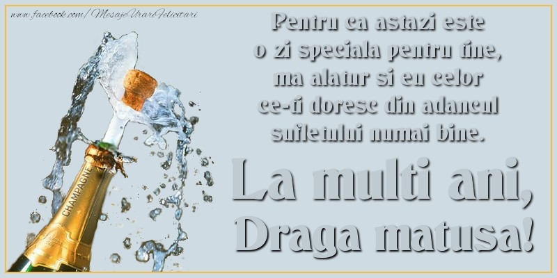 Felicitari de Ziua Numelui pentru Matusa - Pentru ca astazi este o zi speciala pentru tine, ma alatur si eu celor ce-ti doresc din adancul sufletului numai bine. La multi an, draga matusa