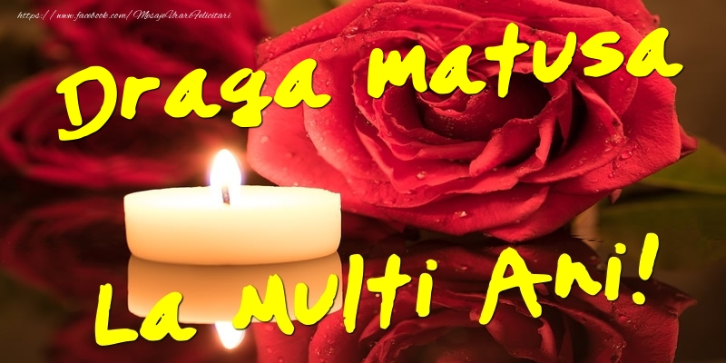 Felicitari de Ziua Numelui pentru Matusa - Draga matusa La Multi Ani!