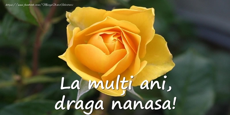 Felicitari de Ziua Numelui pentru Nasa - La mulți ani, draga nanasa!