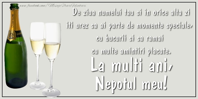 Felicitari de Ziua Numelui pentru Nepot - De ziua numelui tau si in orice alta zi iti urez sa ai parte de momente speciale, cu bucurii si sa ramai  cu multe amintiri placute. La multi ani, nepotul meu