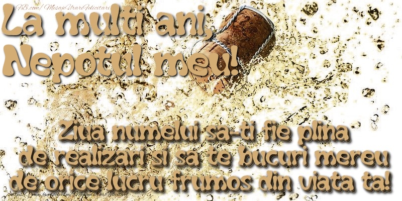 Felicitari de Ziua Numelui pentru Nepot - La multi ani, nepotul meu! Ziua numelui sa-ti fie plina de realizari si sa te bucuri mereu de orice lucru frumos din viata ta!