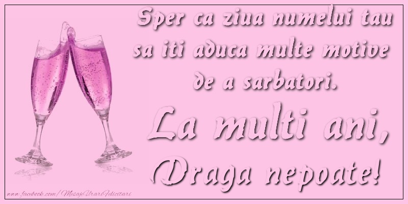 Felicitari de Ziua Numelui pentru Nepot - Sper ca ziua numelui tau sa iti aduca multe motive  de a sarbatori. La multi ani, draga nepoate!
