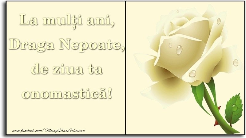 Felicitari de Ziua Numelui pentru Nepot - La mulți ani, de ziua ta onomastică! draga nepoate