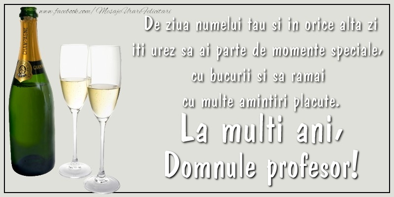 Felicitari de Ziua Numelui pentru Profesor - De ziua numelui tau si in orice alta zi iti urez sa ai parte de momente speciale, cu bucurii si sa ramai  cu multe amintiri placute. La multi ani, domnule profesor