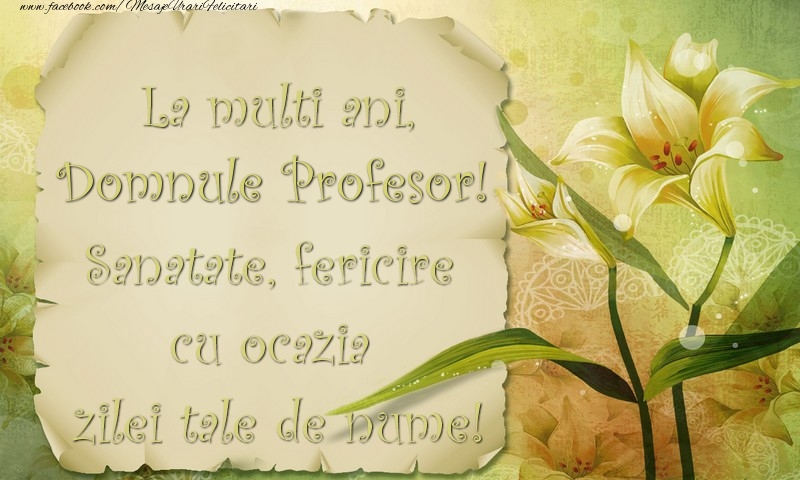 Felicitari de Ziua Numelui pentru Profesor - La multi ani, domnule profesor. Sanatate, fericire cu ocazia zilei tale de nume!