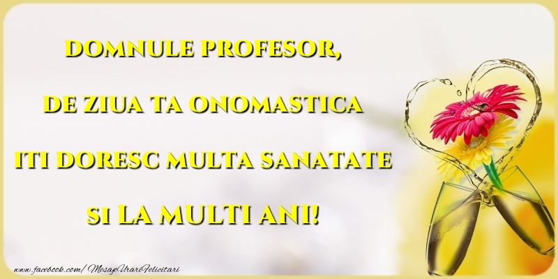 Felicitari de Ziua Numelui pentru Profesor - de ziua ta onomastica iti doresc multa sanatate si LA MULTI ANI! domnule profesor