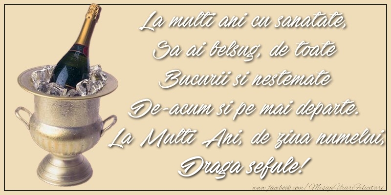 Felicitari de Ziua Numelui pentru Sef - La multi ani cu sanatate,  Sa ai belsug, de toate  Bucurii si nestemate  De-acum si pe mai departe.  La Multi Ani, de ziua numelui, draga sefule