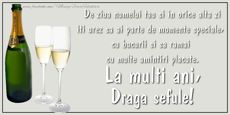 Felicitari de Ziua Numelui pentru Sef - De ziua numelui tau si in orice alta zi iti urez sa ai parte de momente speciale, cu bucurii si sa ramai  cu multe amintiri placute. La multi ani, draga sefule