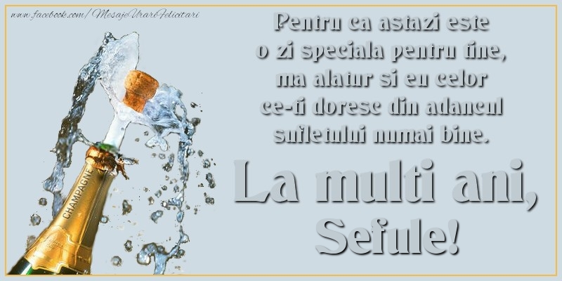 Felicitari de Ziua Numelui pentru Sef - Pentru ca astazi este o zi speciala pentru tine, ma alatur si eu celor ce-ti doresc din adancul sufletului numai bine. La multi an, sefule