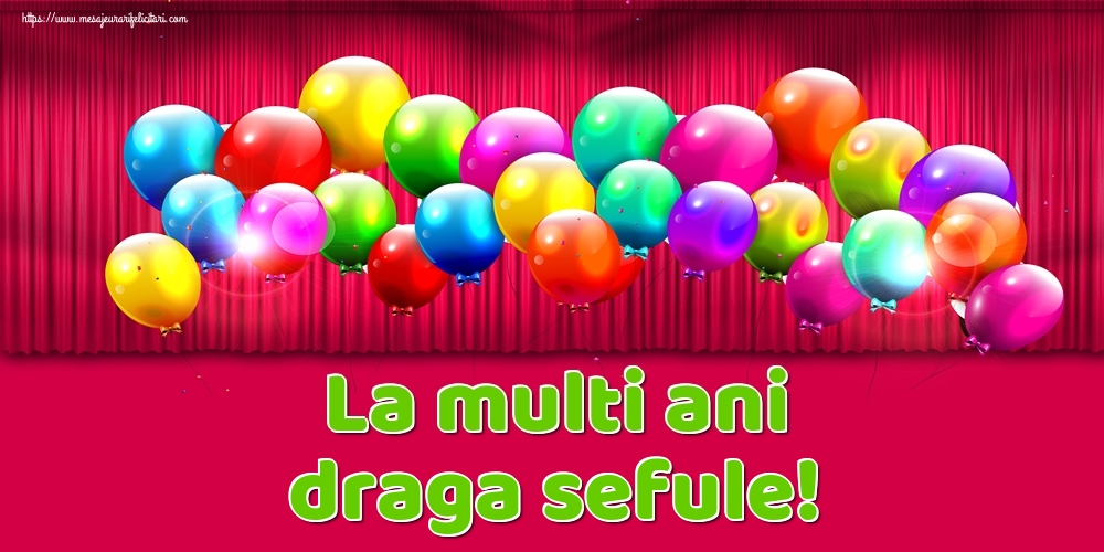 Felicitari de Ziua Numelui pentru Sef - La multi ani draga sefule!