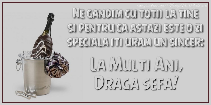 Felicitari de Ziua Numelui pentru Sefa - Ne gandim cu totii la tine si pentru ca astazi este o zi speciala iti uram un sincer: La multi ani, draga sefa