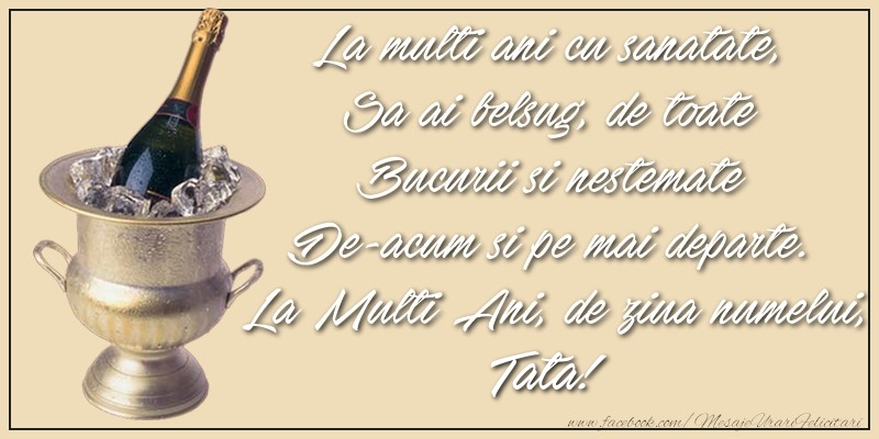 Felicitari de Ziua Numelui pentru Tata - La multi ani cu sanatate,  Sa ai belsug, de toate  Bucurii si nestemate  De-acum si pe mai departe.  La Multi Ani, de ziua numelui, tata