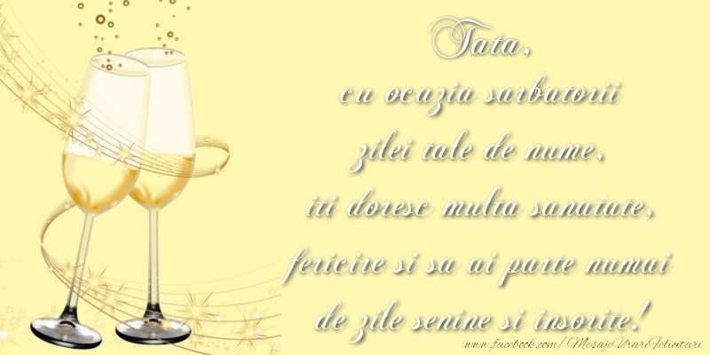 Felicitari de Ziua Numelui pentru Tata - Tata cu ocazia sarbatorii zilei tale de nume, iti doresc multa sanatate, fericire si sa ai parte numai de zile senine si insorite!