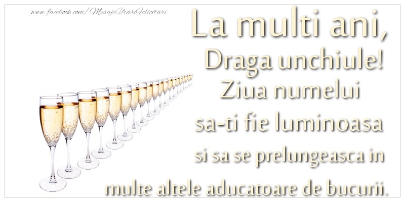 Felicitari de Ziua Numelui pentru Unchi - La multi ani, draga unchiule Ziua numelui sa-ti fie luminoasa si sa se prelungeasca in  multe altele aducatoare de bucurii.