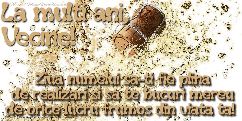 Felicitari de Ziua Numelui pentru Vecin - La multi ani, vecine! Ziua numelui sa-ti fie plina de realizari si sa te bucuri mereu de orice lucru frumos din viata ta!