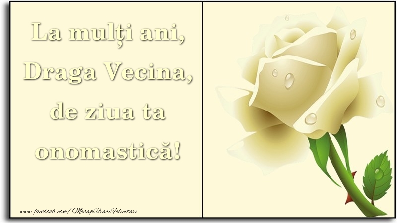 Felicitari de Ziua Numelui pentru Vecina - La mulți ani, de ziua ta onomastică! draga vecina