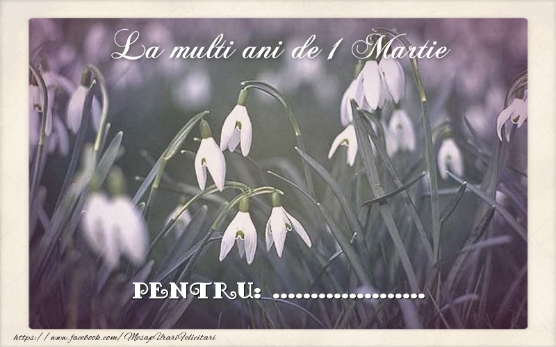 Felicitari personalizate de 1 Martie - pentru: ...
