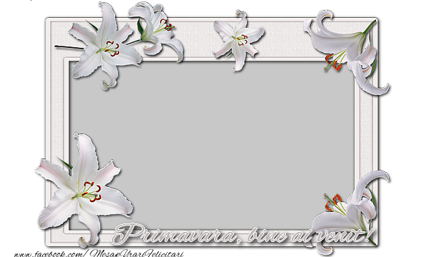 Felicitari personalizate de 1 Martie - Primavara, bine ai venit!