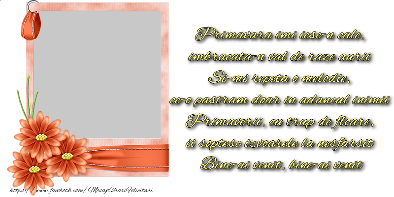 Felicitari personalizate de 1 Martie - Primavara imi iese-n cale