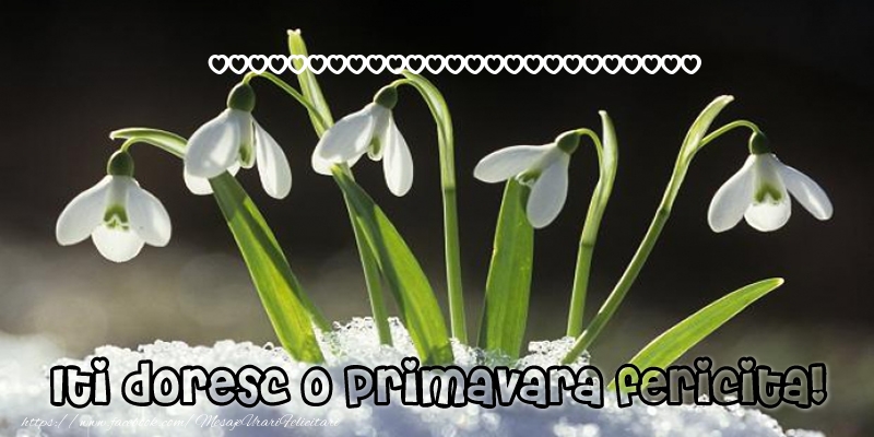Felicitari personalizate de 1 Martie - ... Iti doresc o primavara fericita!
