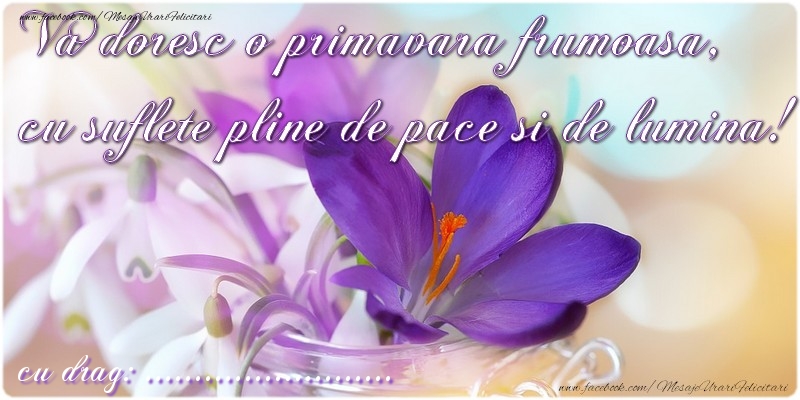 Felicitari personalizate de 1 Martie - Va doresc o primavara minunata ...