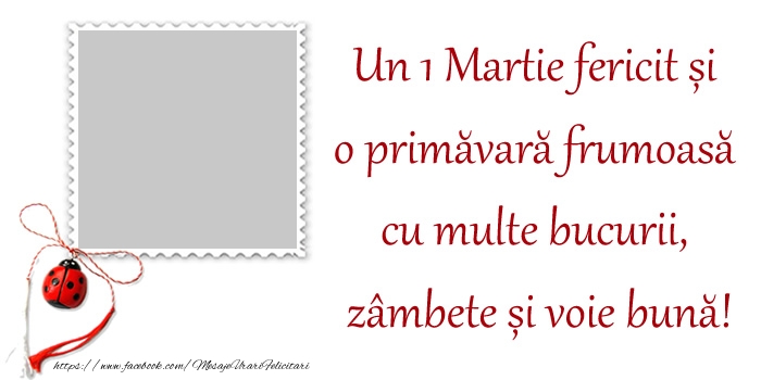 Felicitari personalizate de 1 Martie - Buburuză & Martisor & 1 Poza & Ramă Foto | Mesajul tau de 1 Martie pentru prieteni