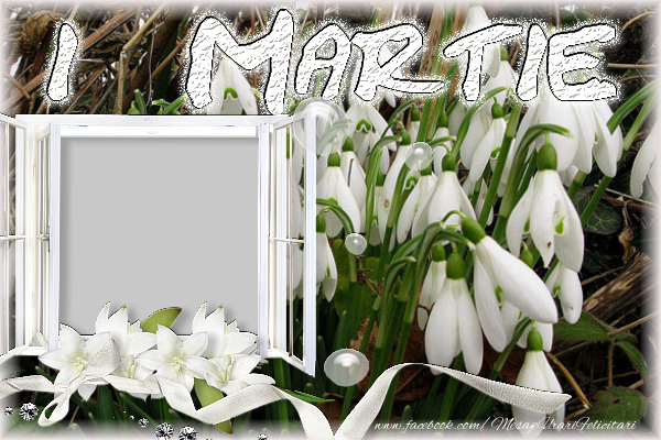 Felicitari personalizate de 1 Martie - 1 Martie
