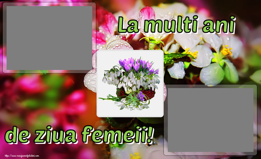 Felicitari personalizate de 8 Martie - Ghiocei & 2 Poze & Ramă Foto | La multi ani de ziua femeii! - Rama foto