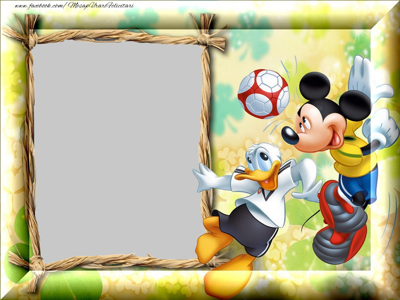 Felicitari personalizate pentru copii - 🧒🧒🧒 Copii & 1 Poza & Ramă Foto | Rama foto - Mickey Mouse și Donald