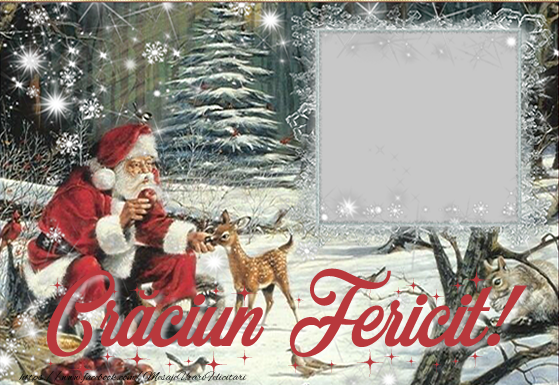 Felicitari personalizate de Craciun - Mos Craciun & 1 Poza & Ramă Foto | Crăciun Fericit!