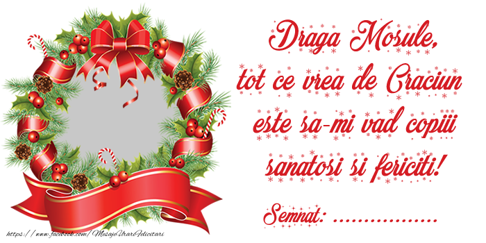 Felicitari personalizate de Craciun - Brazi & 1 Poza & Ramă Foto | Scrisoarea ta catre Mos Crăciun! Semnat: ...
