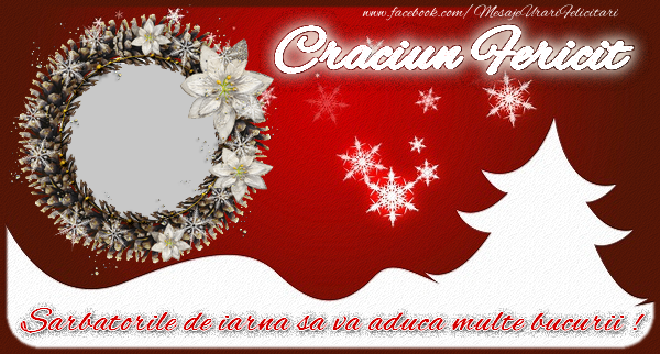 Felicitari personalizate de Craciun - Brazi & 1 Poza & Ramă Foto | Craciun Fericit