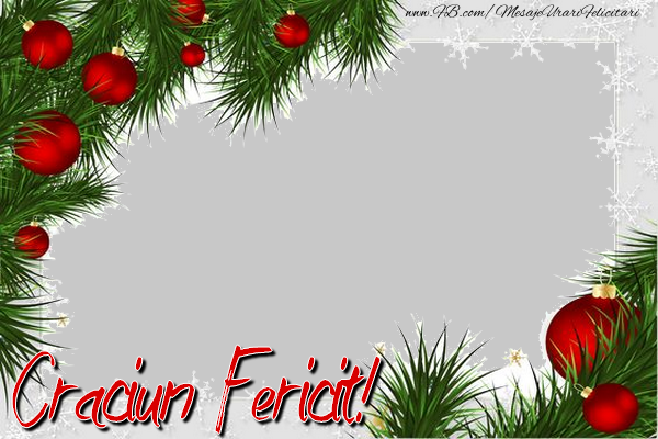 Felicitari personalizate de Craciun - Poza de Craciun