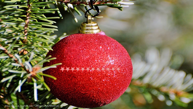 Felicitari personalizate de Craciun - Numele ... pe glob