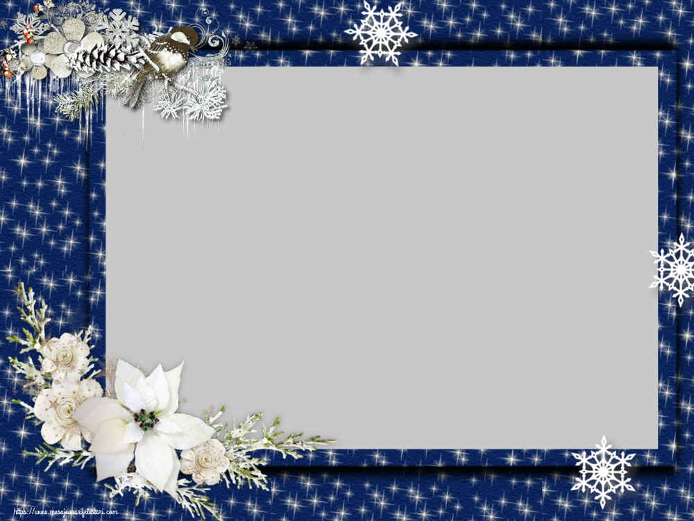 Felicitari personalizate de Craciun - Rama foto de Craciun