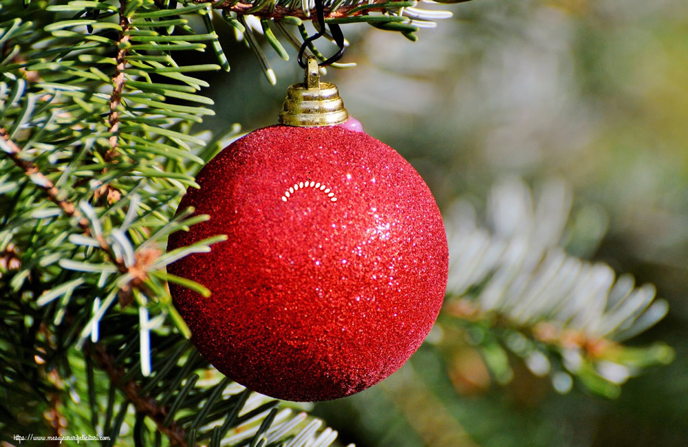 Felicitari personalizate de Craciun - Numele ... pe Glob de Craciun