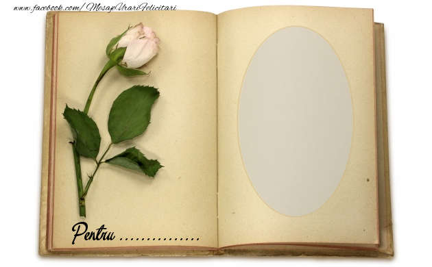 Felicitari personalizate Diverse - Trandafiri & 1 Poza & Ramă Foto | Pentru ...