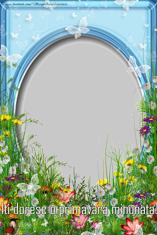 Felicitari personalizate Diverse - Flori & 1 Poza & Ramă Foto | Iti doresc o primavara minunata!