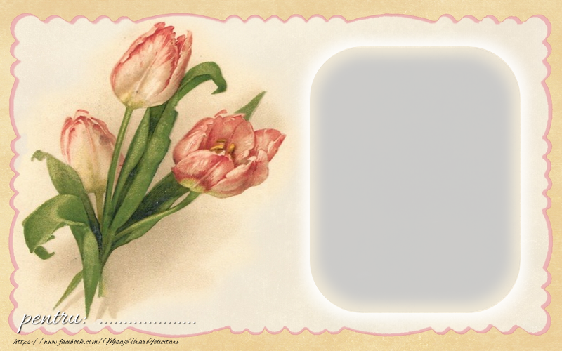 Felicitari personalizate Diverse - Flori pentru ...