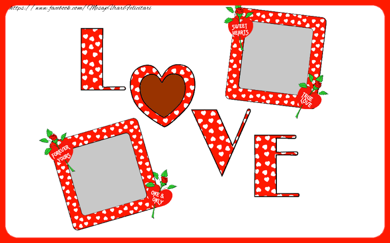 Felicitari personalizate de dragoste - Flori & 2 Poze & Ramă Foto | Love