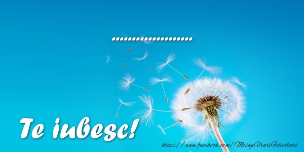 Felicitari personalizate de dragoste - ... Te iubesc! - papadie pe fundal albastru