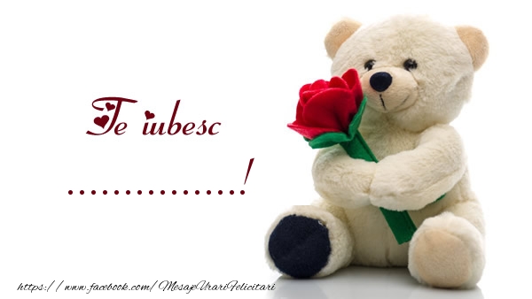 Felicitari personalizate de dragoste - Ursulet simpatic cu o floare: Te iubesc ...!