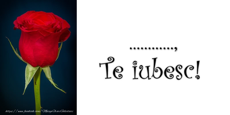 Felicitari personalizate de dragoste - Trandafiri | ... Te iubesc!
