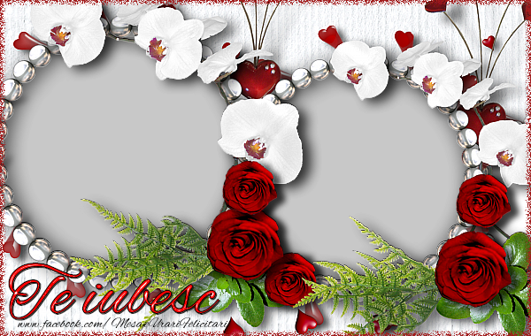 Felicitari personalizate de dragoste - Trandafiri & 2 Poze & Ramă Foto | Te iubesc
