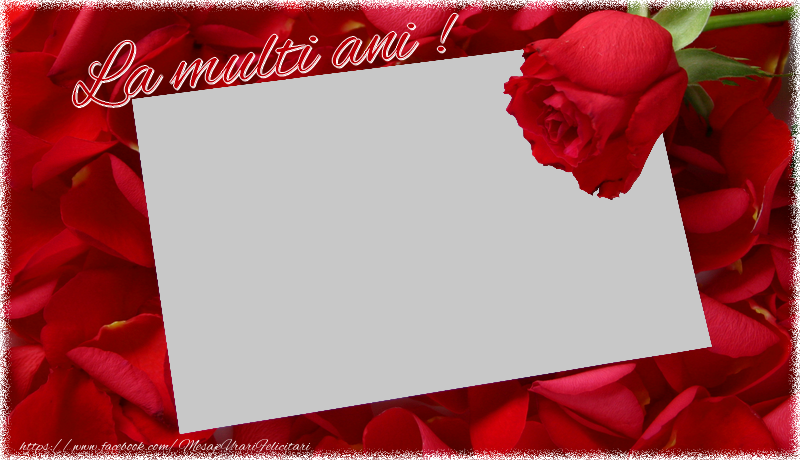Felicitari personalizate de la multi ani - La multi ani