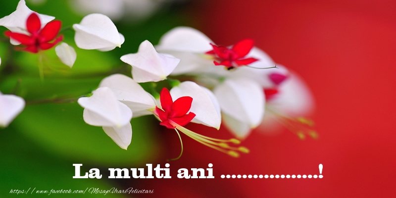 Felicitari personalizate de la multi ani - La multi ani ...!